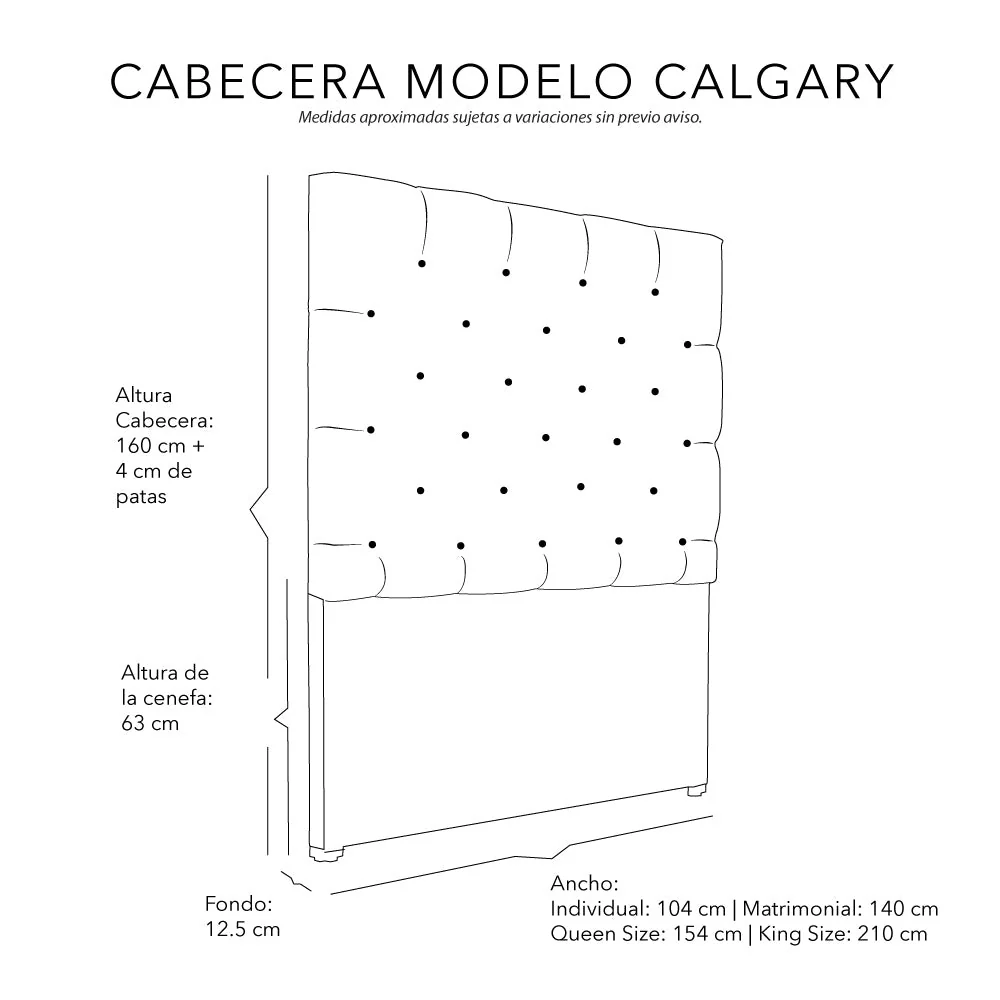 Cabecera Dicasa Vinipiel - Image 19